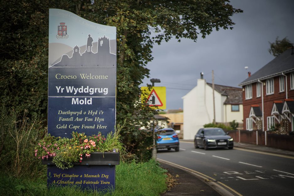 Welcome to Mold sign